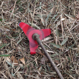 これが私の最後の夢だ！――開拓2日目