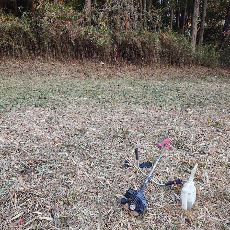 放棄耕作地の再生