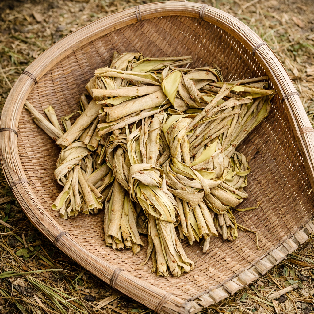 自然布(山布)研究所/桑の樹皮