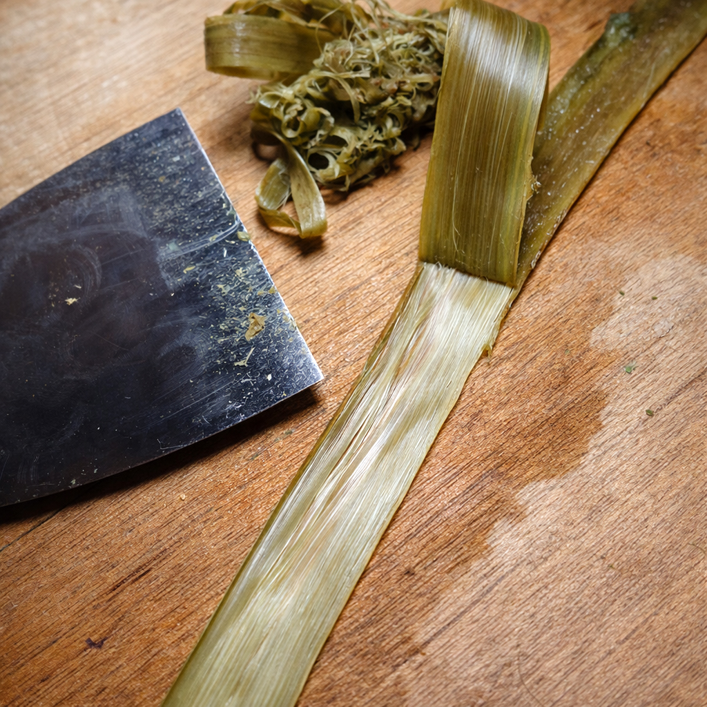 自然布(山布)研究所/苧引き