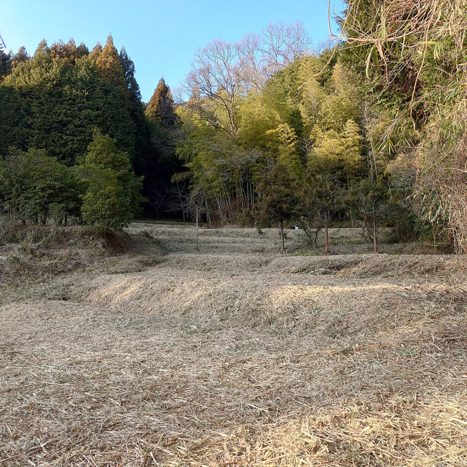 ひとつ屋染織農園の新しい圃場