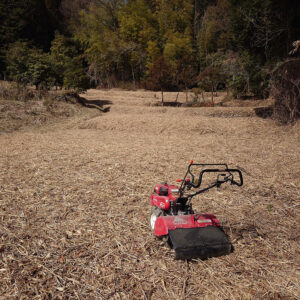 ここから始まる